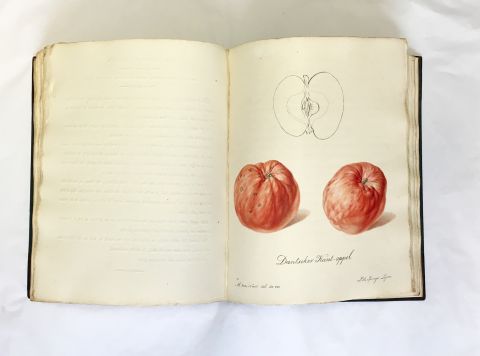 Pomologia